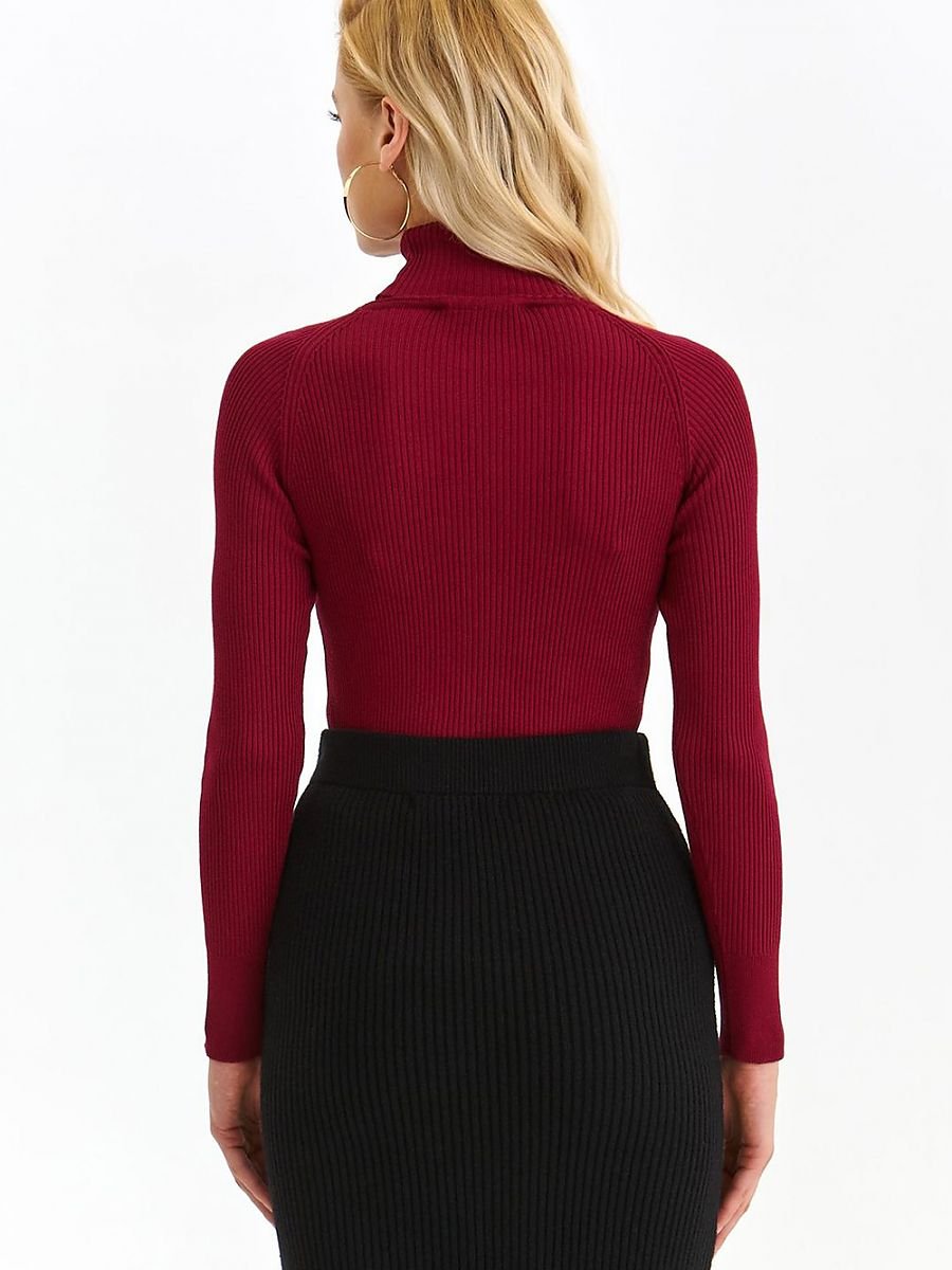 Turtleneck Top Secret