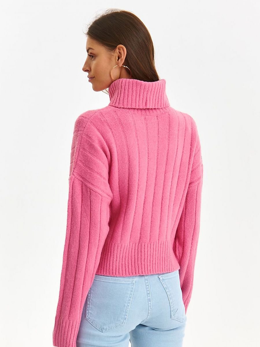 Turtleneck Top Secret